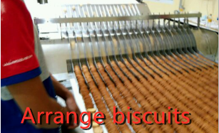 Professional Industrial Cake Baking Oven for Garment Shops and Fresh Fruit Ingredients