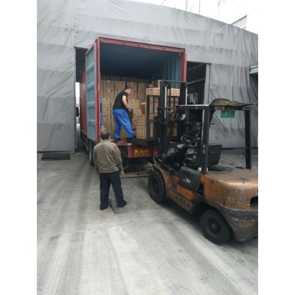 Древесина безвкусной ранга Фарм медицины активированного угля порошка главная основала уточнение