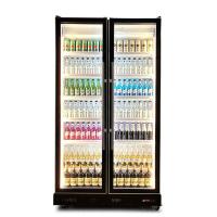 Supermarket Commercial Two Glass Doors Multiple Adjustable LED Lights Beverage Display Freezer