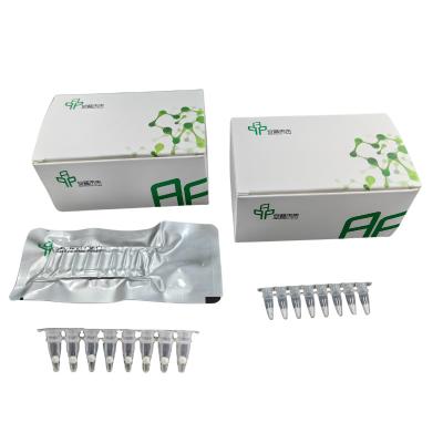 Kit de amplificação de PCR isotérmica de DNA de alto desempenho para resultados precisos de PCR
