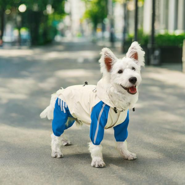 Pet Clothes Raincoat Waterproof Animal Pattern Small Size for Dogs Summer/Spring