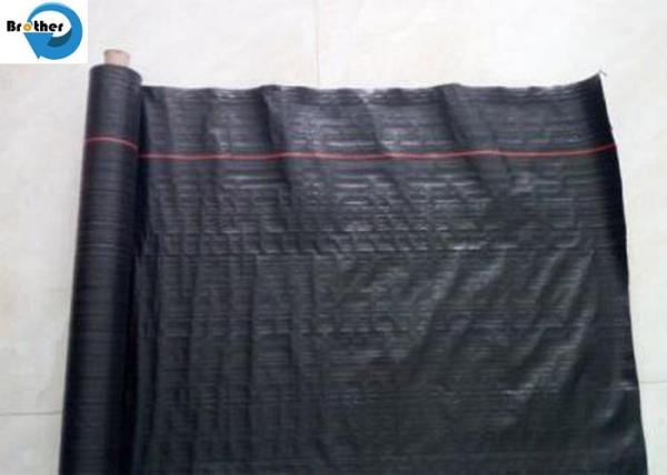 Agriculture Spunbonded Fabirc/Fruit/Plant/Flowers/Weeds/Crops Cover/Nonwoven Fabric Roll