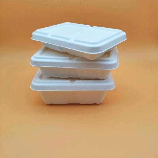 Caixa de bagaço de cana-de-açúcar 100 por cento compostável recipiente para alimentos com tampas