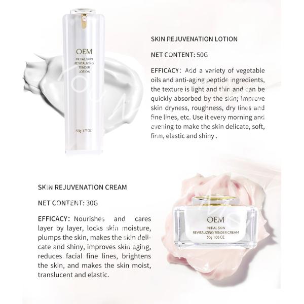 Carnosina escualana Vitamina Arbutina Niacinamida Suero Antienvejecimiento Productos para el cuidado de la piel