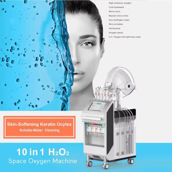 10in1 Hydro Oxygen Machine Cold Treatment Skin Care Rf Ultrasonic Deep Cleaning