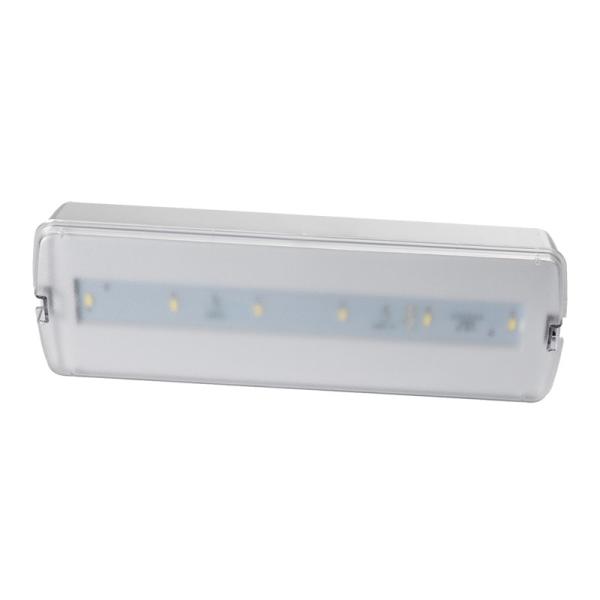 Lumière d'urgence commerciale à LED rechargeable 200lm 220 - 240V