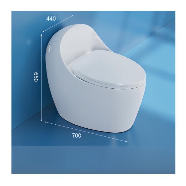 Slowly Closing Seat Cover One-Piece Elongated Non-Electric Toilet for American Market