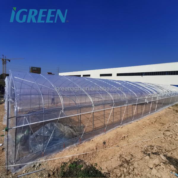 19.68' Climate Control Greenhouse PE Roof Height 6m With Ceiling Fan