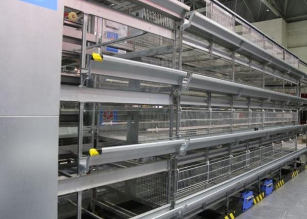 Eco - Friendly Chicken Egg Laying Equipment High - Density Raising Save Labor Cost