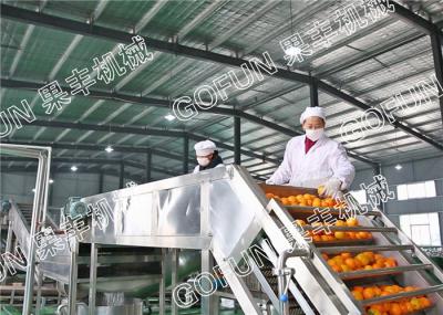 Customized Berry Juice And Jam Production Line SUS304 Complete Berry Processing Line