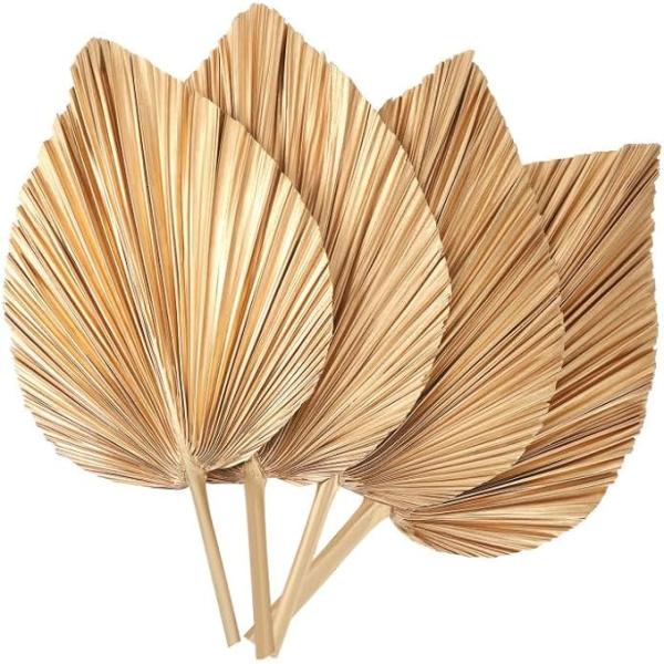 Vitalucks Logo Eco-Friendly Compostable Hand 4 Pcs Large Natural Gold Dried Palm Leaves