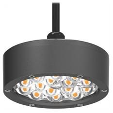Intelligent 10W Poultry Farm Light , 120/230/240VAC Led Lights For Chicken Houses