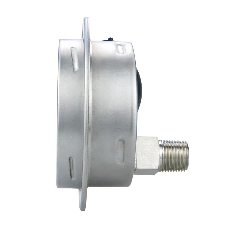 4 Inch Stainless Steel Pressure Gauge 2500bar G Thread Hydraulic Universal Manometer
