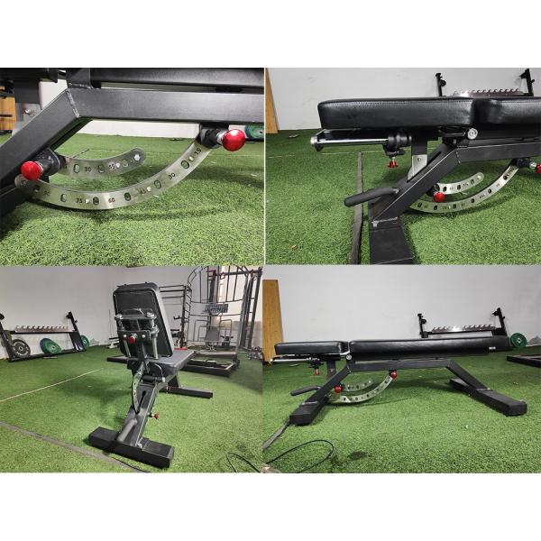 Первоначальная оплата упражнений для всего тела Дэмбл-кресло Kt004 для фитнеса 2023 года