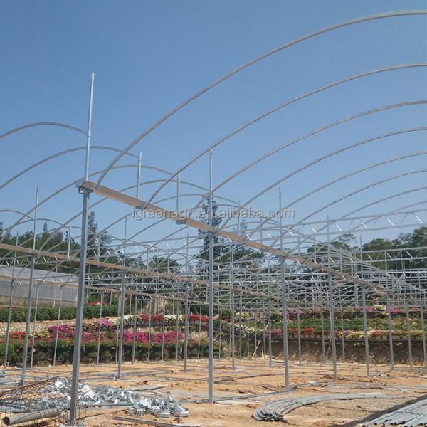 IGreen Tunnel Strawberry Greenhouses for Sale Price of M2 Agricultural Greenhouse