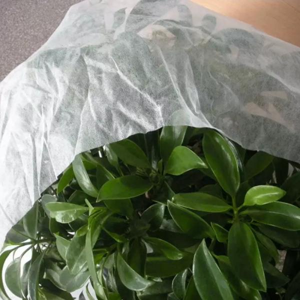 Мульчировать ткань PP Spunbond Nonwoven земледелия фильма для томатов цветков