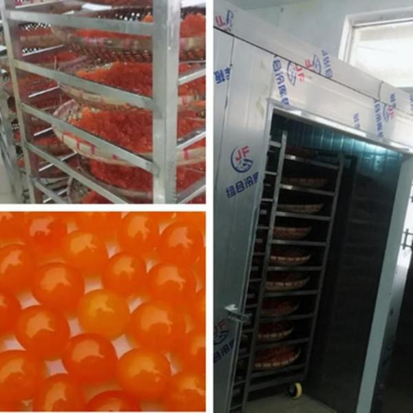 Food Yolk Industrial Hot Air Dryer / Industrial Fruit Dryer Machine CE Certification