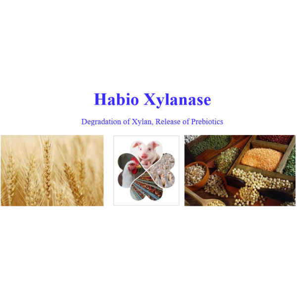 Feed Additive Xylanase Enzyme Powder 1,000,000U/g Degrade Xylan Release Oligosaccharide