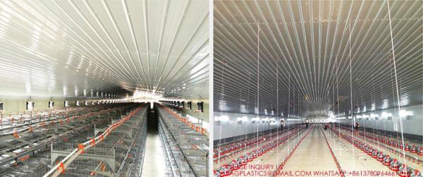 Steel Structure Building Prefab Poultry Chicken House Poultry Shed Chicken Farm Building House For 10000 Chickens