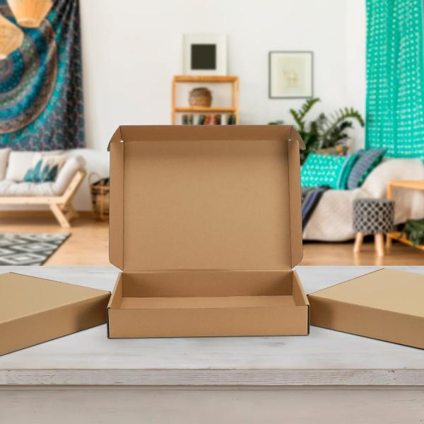 Brown Corrugated Cardboard Literature Mailer Box For Packaging, Mailing, Business Mailing Packing Literature Mailer