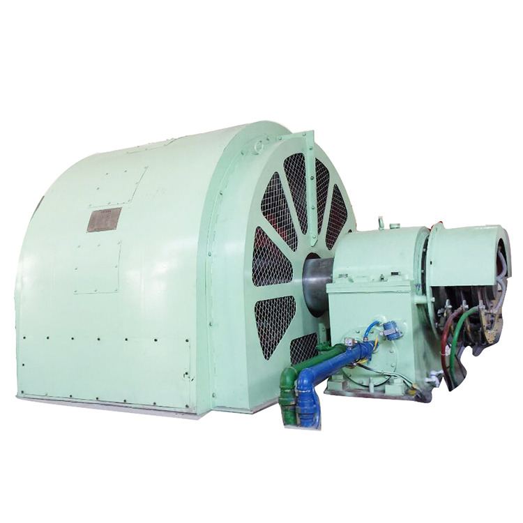 Production Period 6 Months Pelton Wheel Turbine Generator Hydropower Equipment Designed for Renewable Energy Production