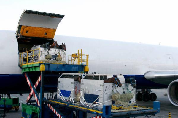 Secure Air Freight Shipping Agent for Logistics Services from to Spain Madrid Barcelona Valencia Palma Zaragoza Seville