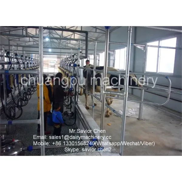 Herringbone Structure Cow Milking Machine with Waikato Milk Meter and CE ISO SGS FDA Certification