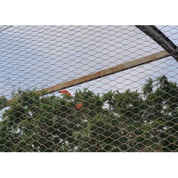 Stainless Steel Ferrule Wire Rope Mesh For Zoo Bird Parrot Aviary Safety Fencing