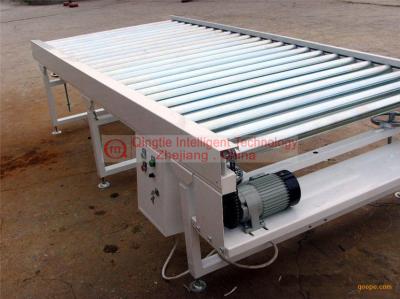 High Reliability Automated Conveyor Systems , Simple Structure Chain Roller Conveyor