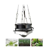 Usine hydroponique de fleur de plein ÉPI du spectre 50W de serre chaude