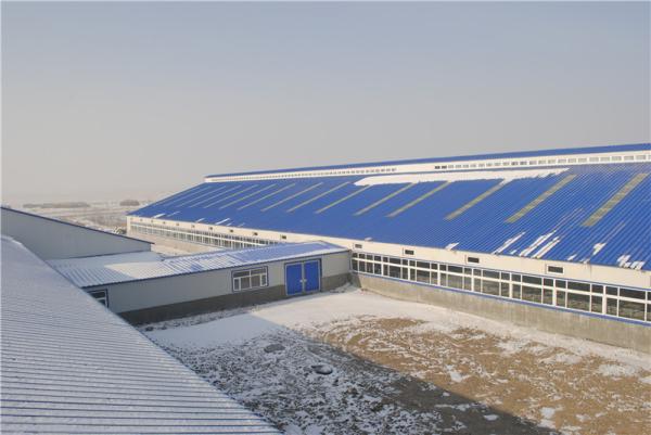 Construção pré-fabricada do estábulo da construção de aço de Q355B com painel de sanduíche