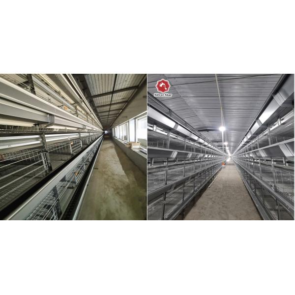 Оборудование Hunsbandry птиц клетки 200 цыпленка бройлера Zn-Al ярусов металла 4