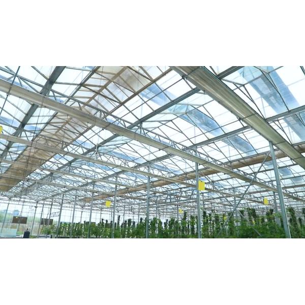 Lightweight Greenhouse Glass Toughened Customizable Tempered Glass For Building