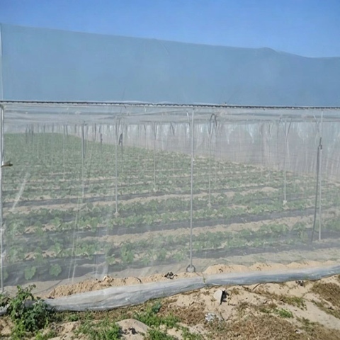 Custom Width Length Insect Net High Mesh Garden Plant Insect Protection Net