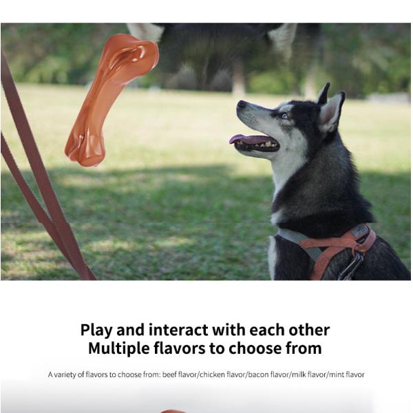 Indestructible TPR Dog Chew Toy Eco-Friendly Grinding Teeth Toy for Aggressive Dogs Soft Natural Rubber Bone