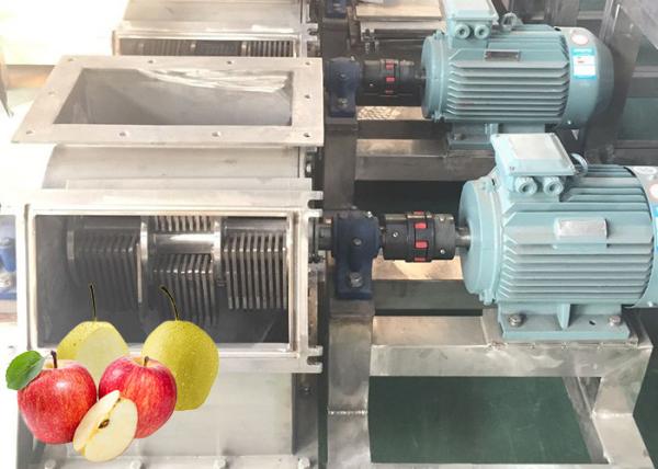 Food Standard SUS 304 Apple Processing Line Cold Press Fruit Juice Processing Line