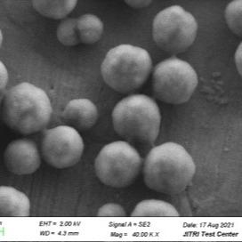 Viral RNA Extraction Carboxyl Magnetic Beads 500nm 10 mg / mL 5 mL