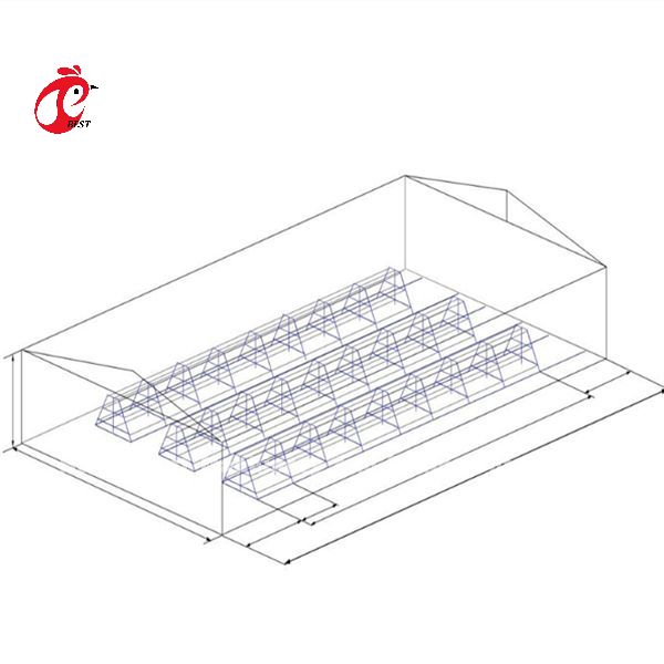 Premium Poultry Farm A Type Pullet Chicken Cage Battery Chicken Brooding Cage Iris