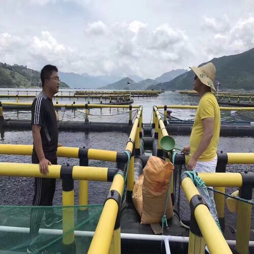 Large Specification Square Floating Fish Cage Weather Resistant HDPE Aquaculture Net Cage for Tilapia and Shrimp