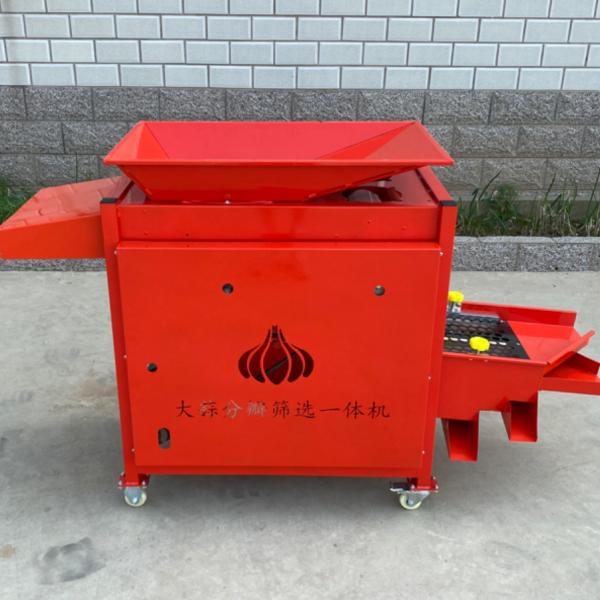 garlic bulb  separating and grading  machine  ，garlic bulb into cloves and grading  integrated maching  RYFF-800