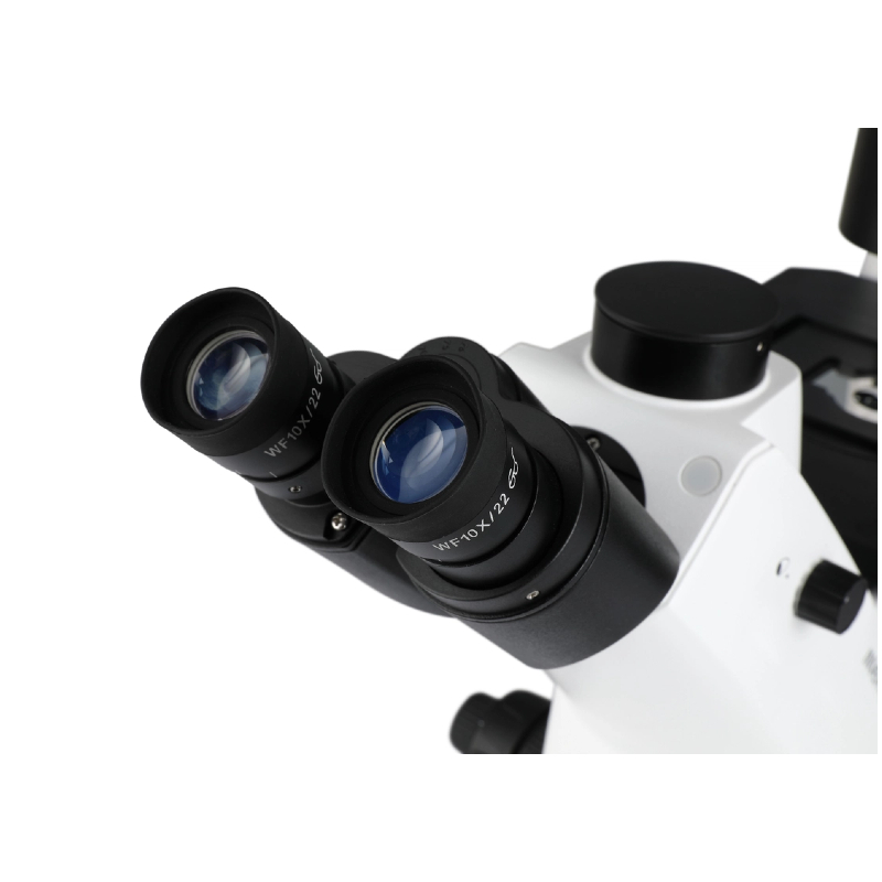 Professional Biological Microscope Binocular & Trinocular with 100X Oil Lens for Lab Teaching