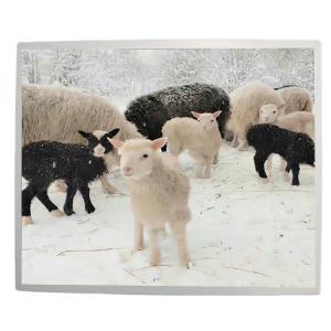 Painel pequeno 30 Pin Connector Design do Lcd de 17 polegadas