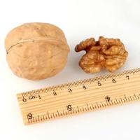 Noix crues dans des sacs à bulles recouvertables pour une fraîcheur ultime Noix entières pour une collation saine