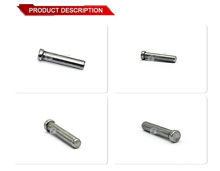 High Performance Retaining Pin 1463120359  for Injection VE PUMP