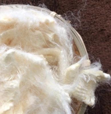 Premium Soy Bean Fiber with Mild Flavor and High Protein Content