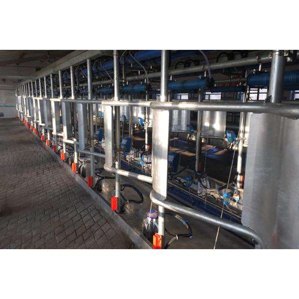 Working Vacuum 50KPa 2.2kw Herringbone Milking Machine For Dairy Farm