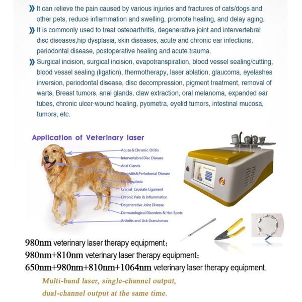 Любимцы мучат прибор лазера терапией лазера хирургического диода 980nm спасения ветеринарный