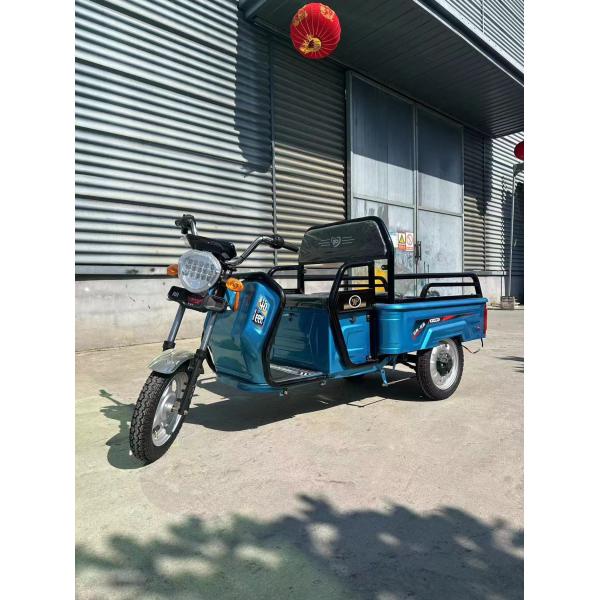 Custom Farm 1200W Electric Tricycle Motorcycle with Front Drum Rear Drum Brake System