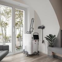 Máquina de belleza con láser de CO2 racional de 60W Máquina de rejuvenecimiento de la superficie con láser fraccionado de 220V estacionaria