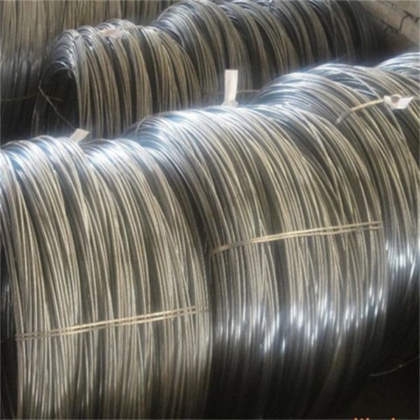 5.5mm Galvanized Steel Wire Rope Nylon PA12 Coated Galvanized Iron Wire